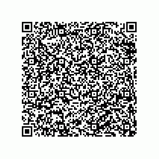 vCard 79833029273