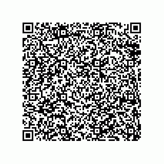 vCard 79833225329