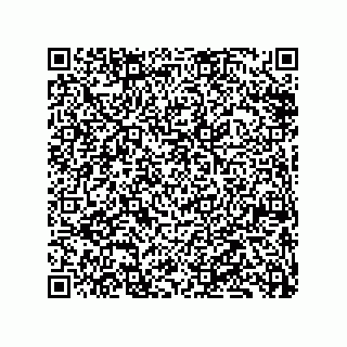vCard 79833225376