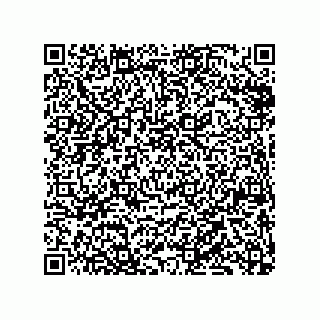 vCard 79833226513