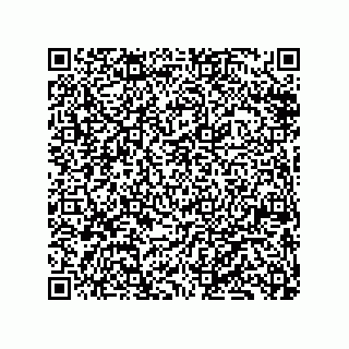 vCard 79833226847