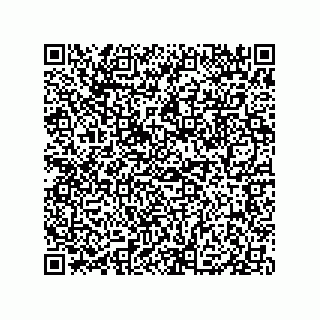 vCard 79833226907