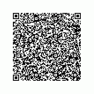 vCard 79833227105