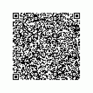 vCard 79833227209