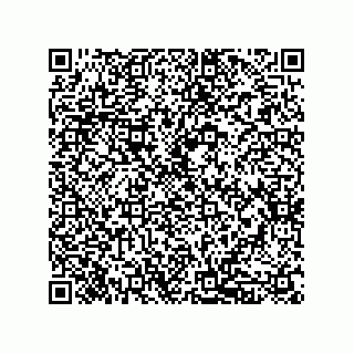 vCard 79833227331