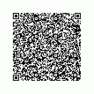 vCard 79833227333