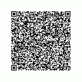 vCard 79833227385