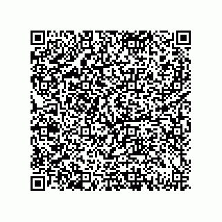 vCard 79833228003