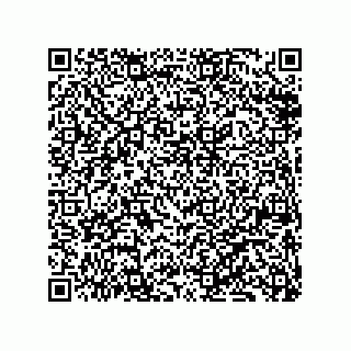 vCard 79833228005