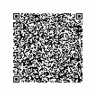 vCard 79833228006