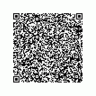 vCard 79833228009
