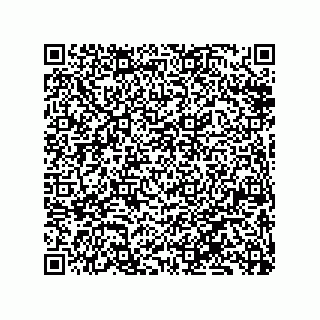 vCard 79833228020