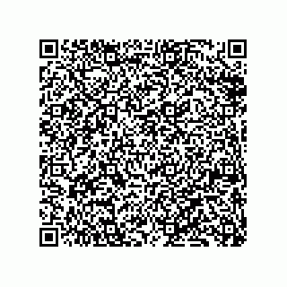 vCard 79833228105