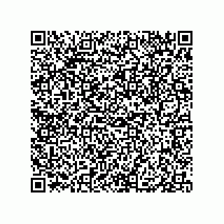 vCard 79833228125