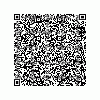 vCard 79833228133