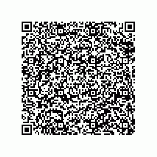 vCard 79833228205