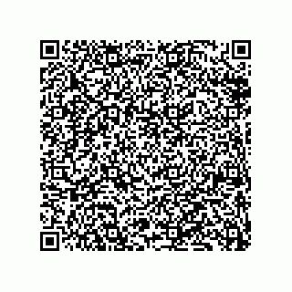 vCard 79833228206