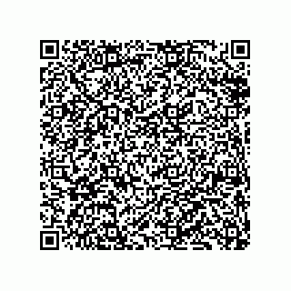 vCard 79833228207