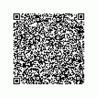 vCard 79833228288