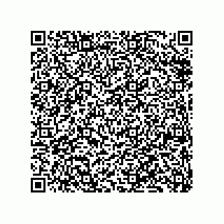 vCard 79833228389
