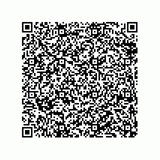 vCard 79833228703