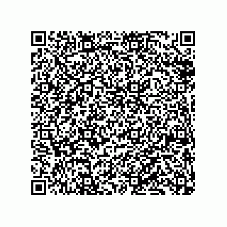 vCard 79833228903