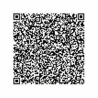 vCard 79833228907