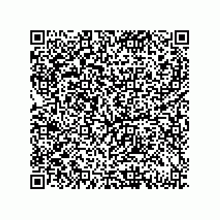 vCard 79833228928