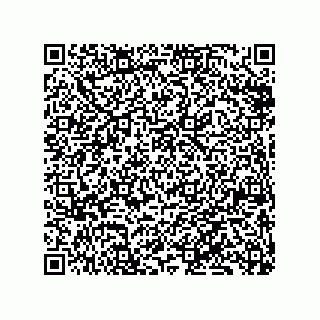 vCard 79833228931