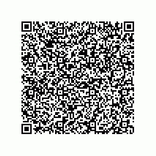 vCard 79833228960