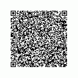 vCard 79833228963