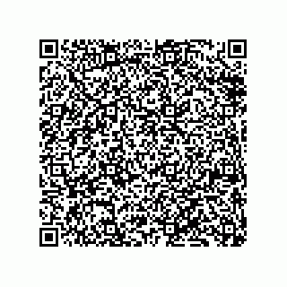 vCard 79833228981