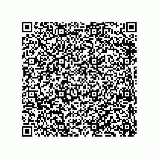 vCard 79833228985