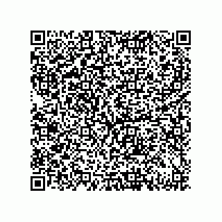 vCard 79833228987