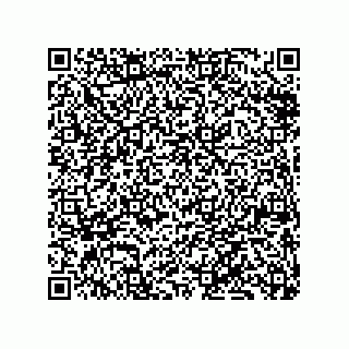 vCard 79833228991