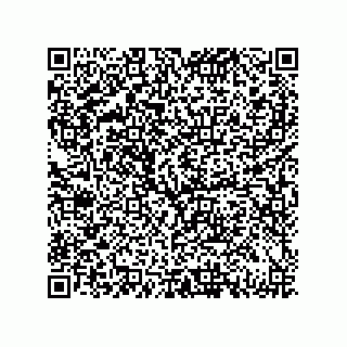 vCard 79833228993