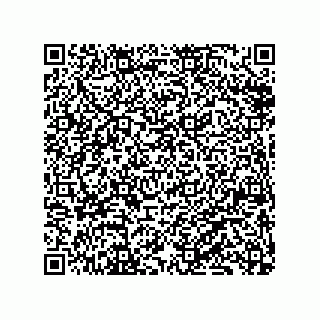 vCard 79833229003