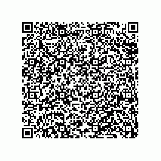 vCard 79833229006