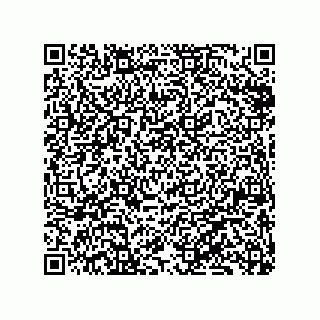 vCard 79833229011