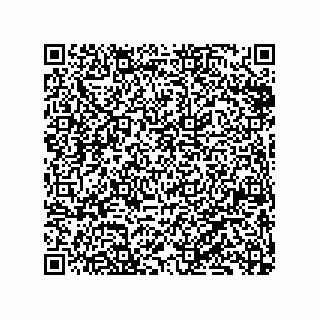 vCard 79833229013