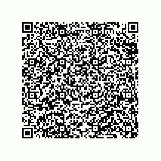 vCard 79833229037