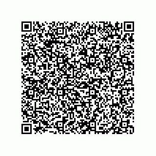vCard 79833229040