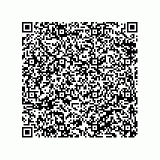 vCard 79833229061