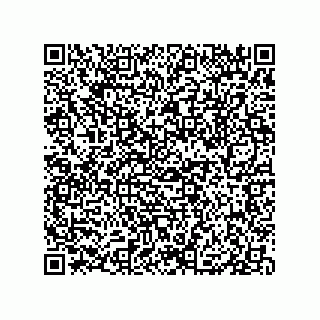 vCard 79833229062