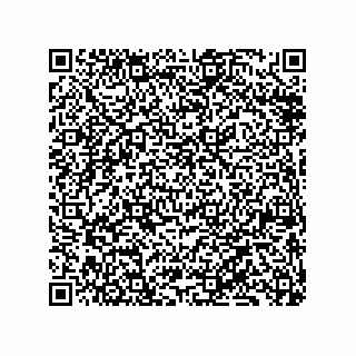 vCard 79833229181