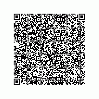 vCard 79833229203