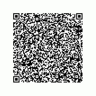 vCard 79833229209