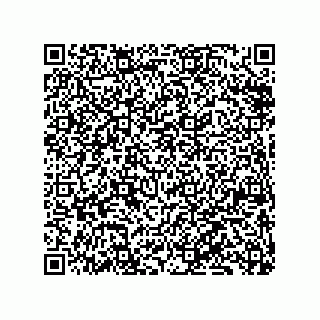vCard 79833229271