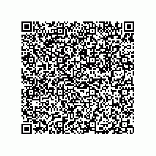vCard 79833229331