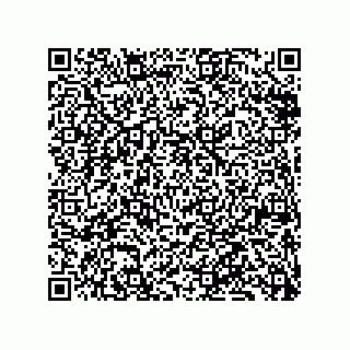 vCard 79833229334